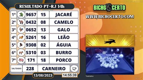 RESULTADO JOGO DO BICHO DIA 08
